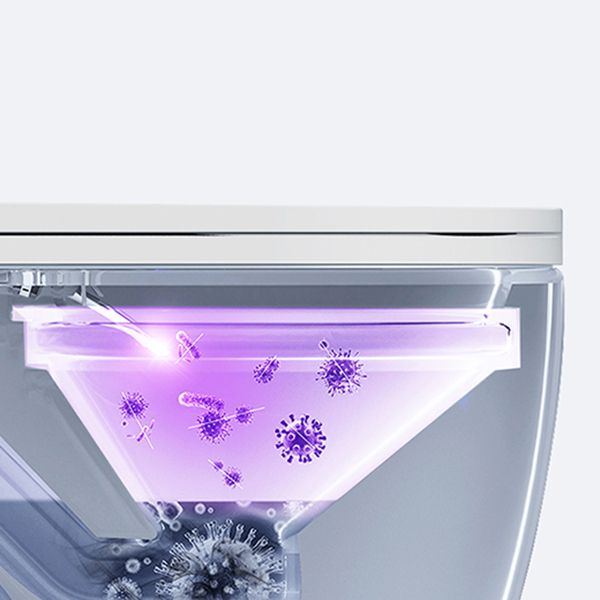 Modern White Wall Mount Urine Toilet Siphon Jet Toilet Bowl with Toilet Seat