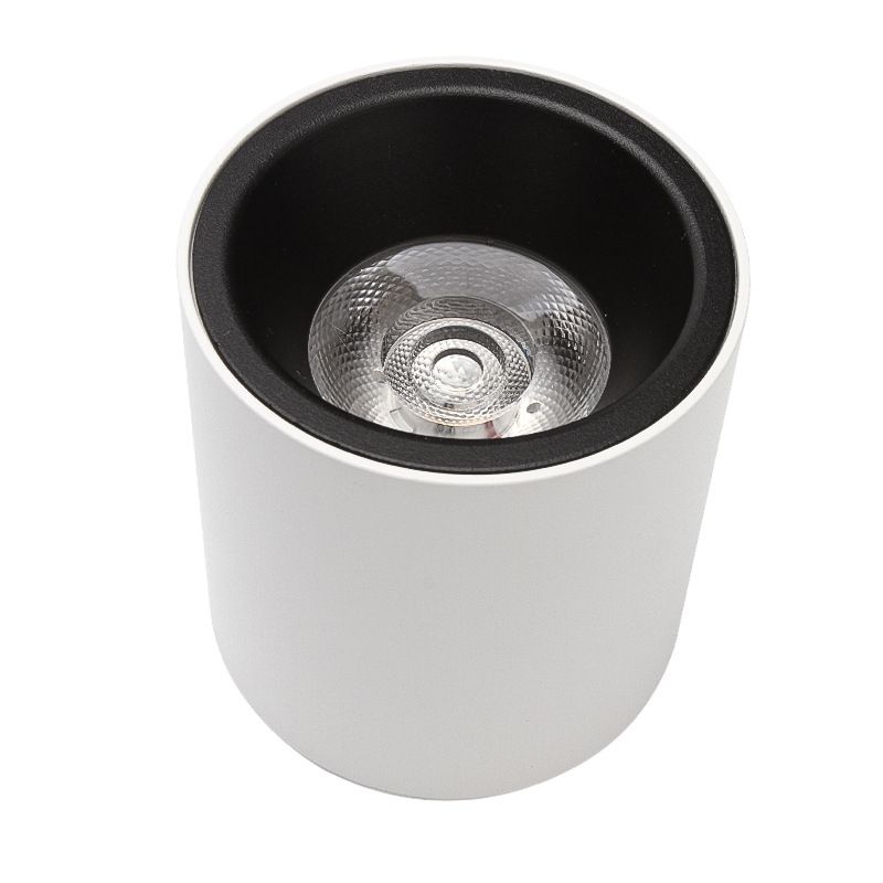 Cilindrische Aluminium Flush Mount Eenvoud Led oppervlak Mount Plafond Licht voor Foyer