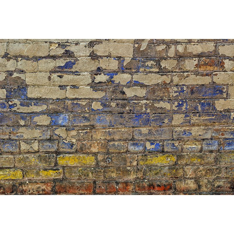Environmental Photography Mural Wallpaper Brick Wall Indoor Wall Mural