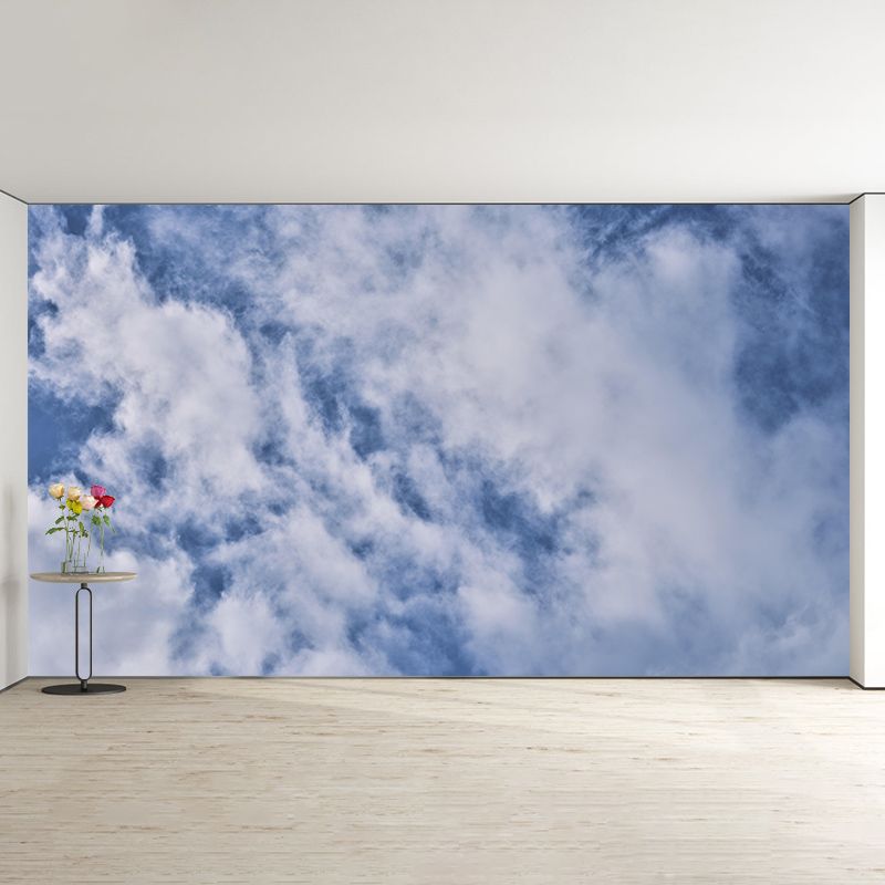 Clouds Mural Mildew Resistant Contemporary Sitting Room Wall Mural
