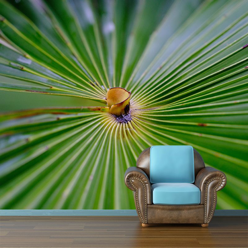 Tropical Palm Leaves Mural Soft Color Stain Resistant Wall Art for Living Room