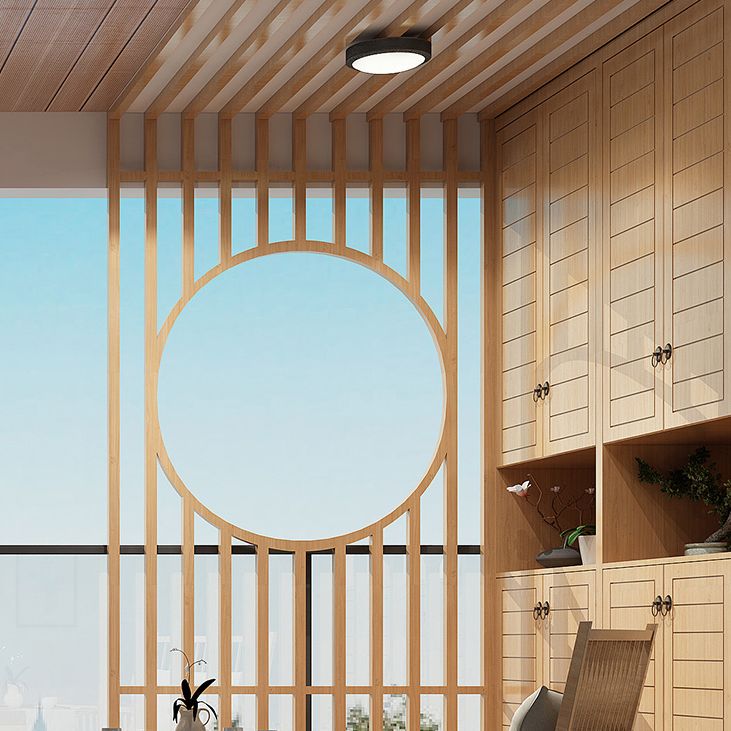 Minimalist Drum LED Flush Mount Light Aluminum Outdoor Flush Mount Ceiling Light