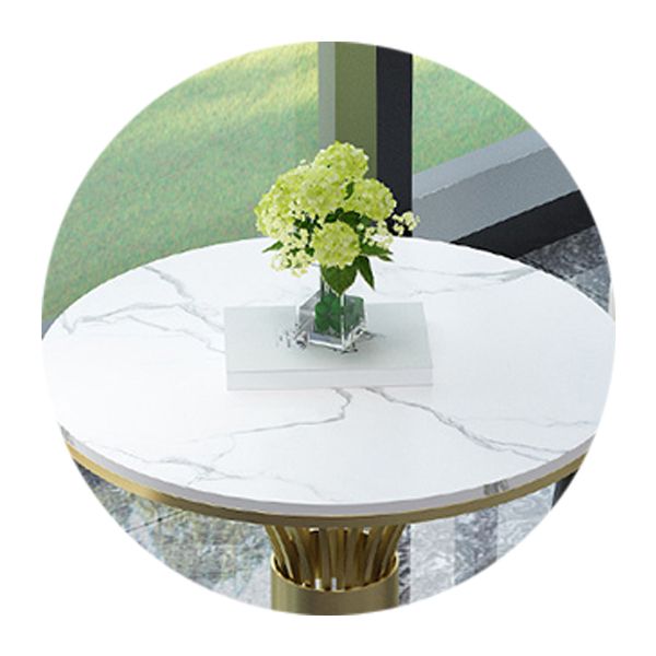 Glam Sintered Stone Dining Table Set 1/2/3/4/5 Pieces Dining Set for Home Use