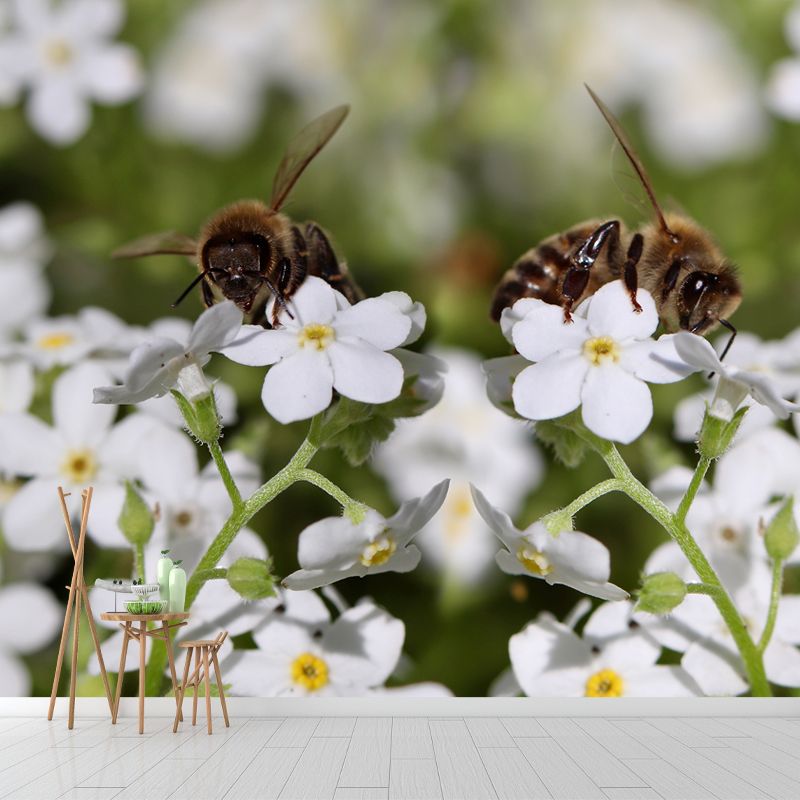 Forget Me Not Mural Personalized Size Wall Covering for Sleeping Room