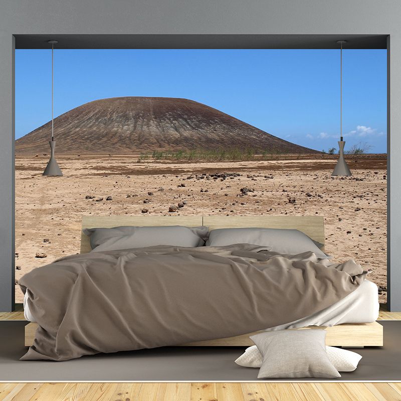 Contemporary Photography Style Desert Mural Wallpaper Mildew Resistant for Home