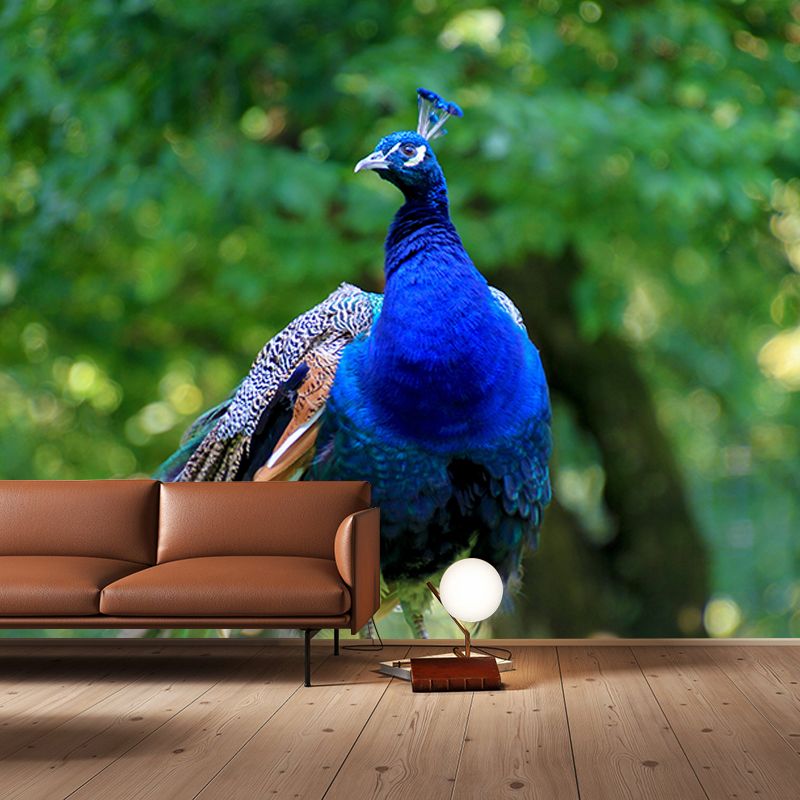 Blue Peacock Mural Wallpaper for Living Room Moisture Resistant, Custom Size