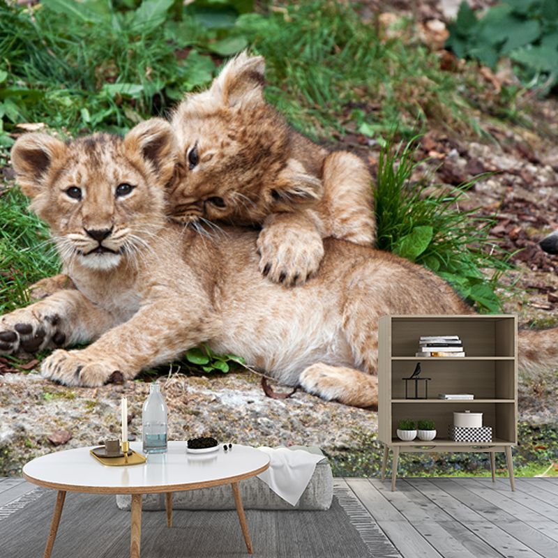 Photography Little Lions Playing Mural Large Size Wall Decor for Bedroom, Custom Size