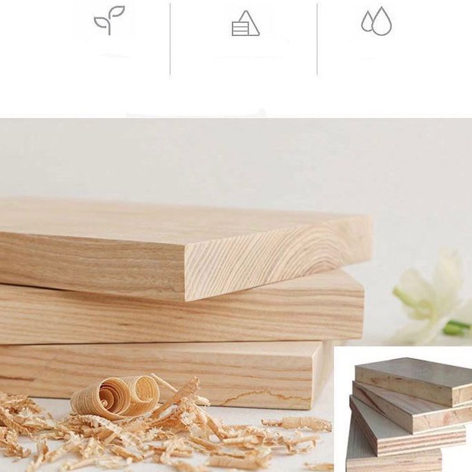 Contemporary Wooden Standard Bookcase Closed Back Bookshelf for Home Office