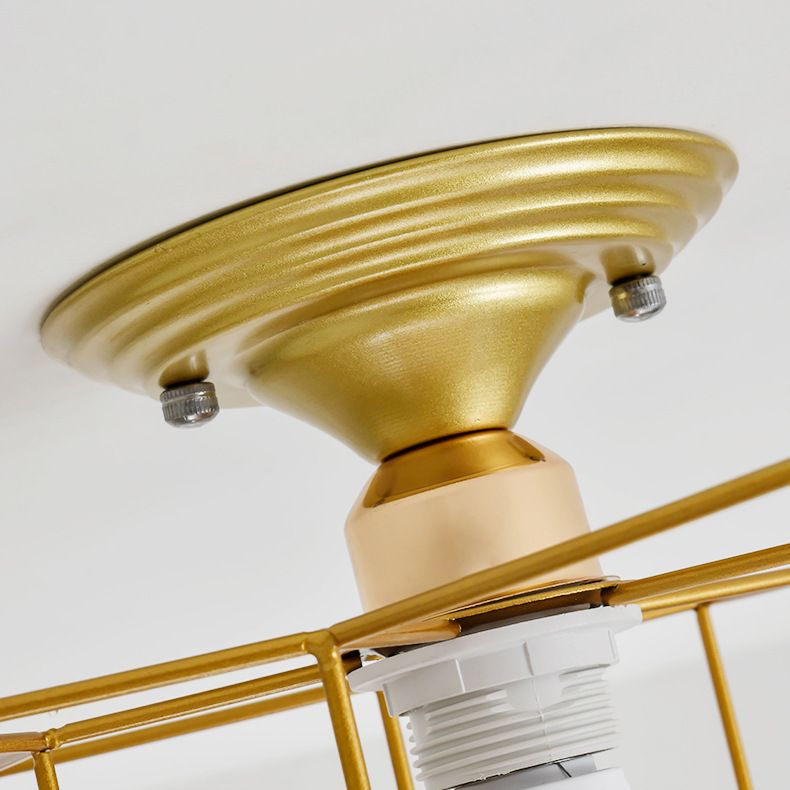 Star Semi Flush Kraut