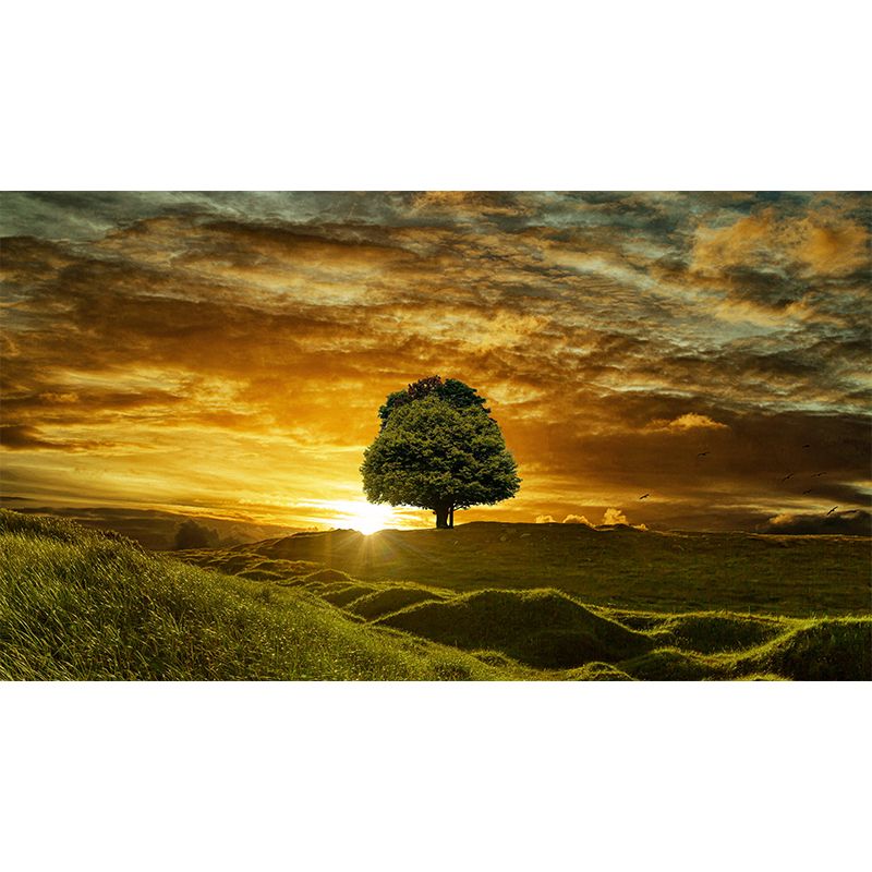 Horizontal Photography Sky Wall Mural Modernism Wall Decoration for Sitting Room