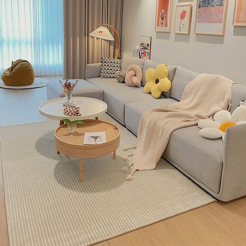 Grey Modern Area Carpet Stripe Print Polyester Area Rug Non-Slip Backing Rug for Living Room