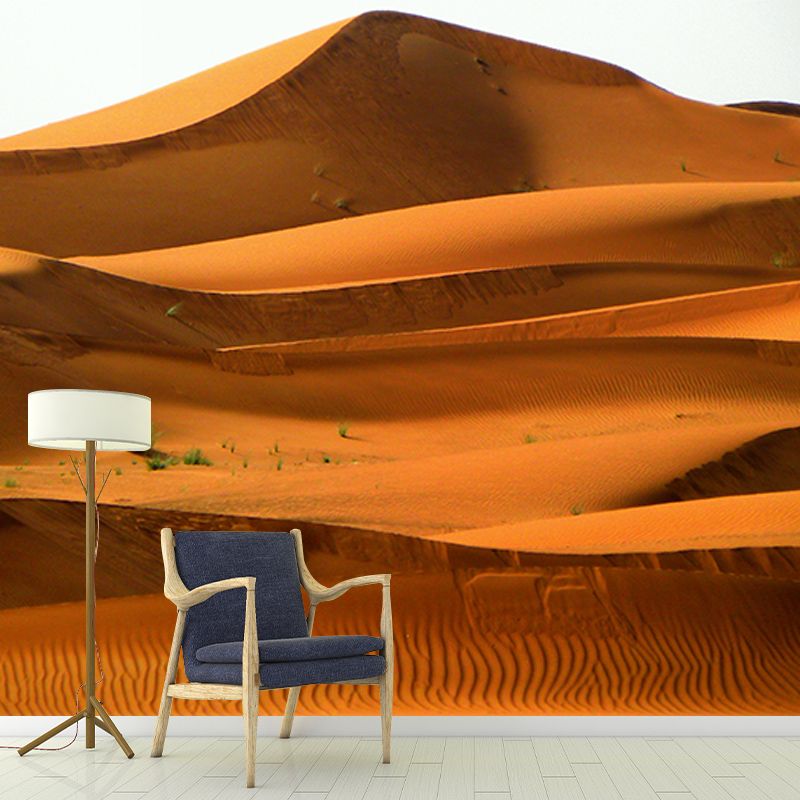 Photography Desert Scenery Wall Murals for Living Room, Moisture Resistant