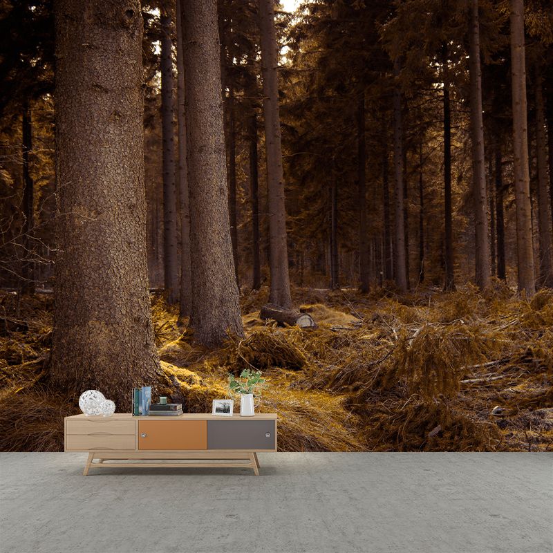 Modern Style Forest Mural Wallpaper Decorative Mildew Resistant Wall Decor