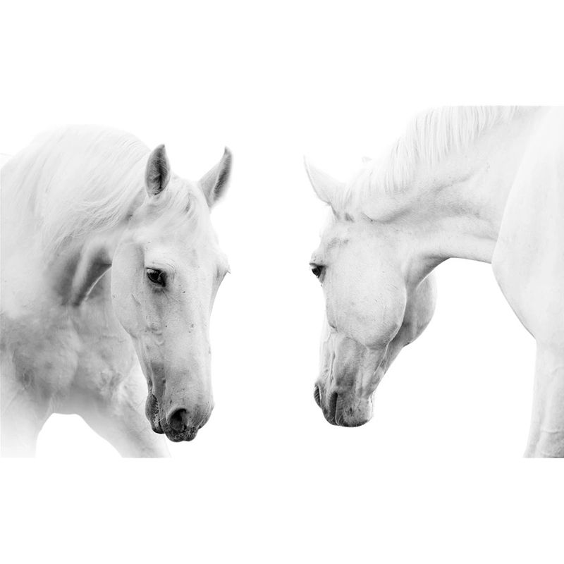 Horse Mural Wallpaper in Black and White, Minimalist Wall Art for Guest Room Decor