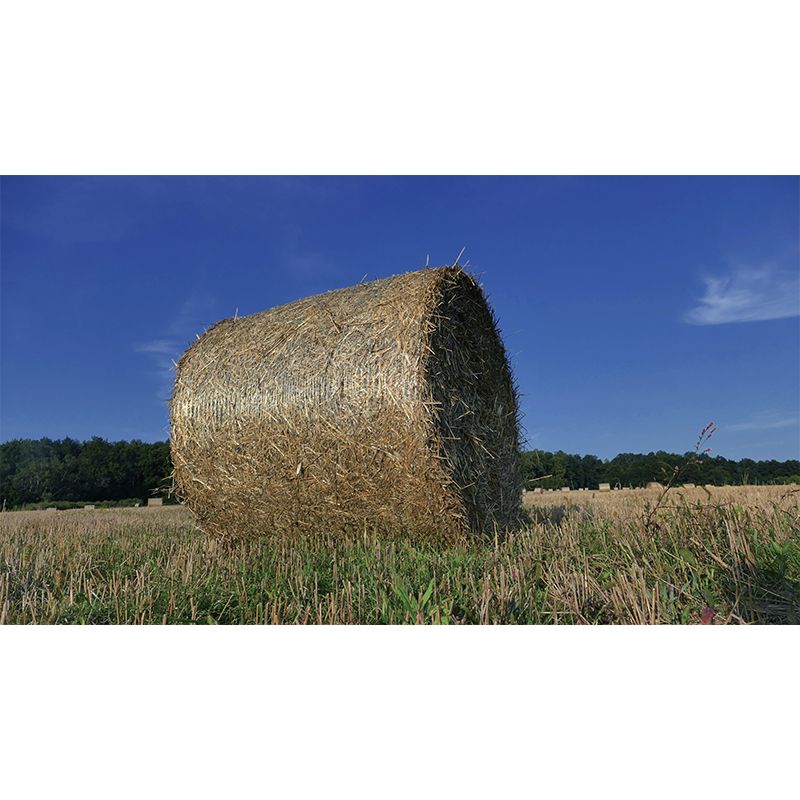 Moisture Resistant Straw Bales Mural Wall Covering for Living Room Wall Decor