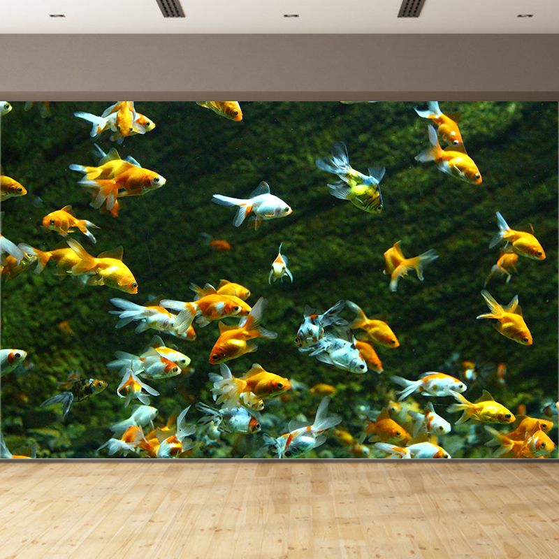 Sea Creatures Photography Decorative Wall Murals for Bedrooms Sitting Room