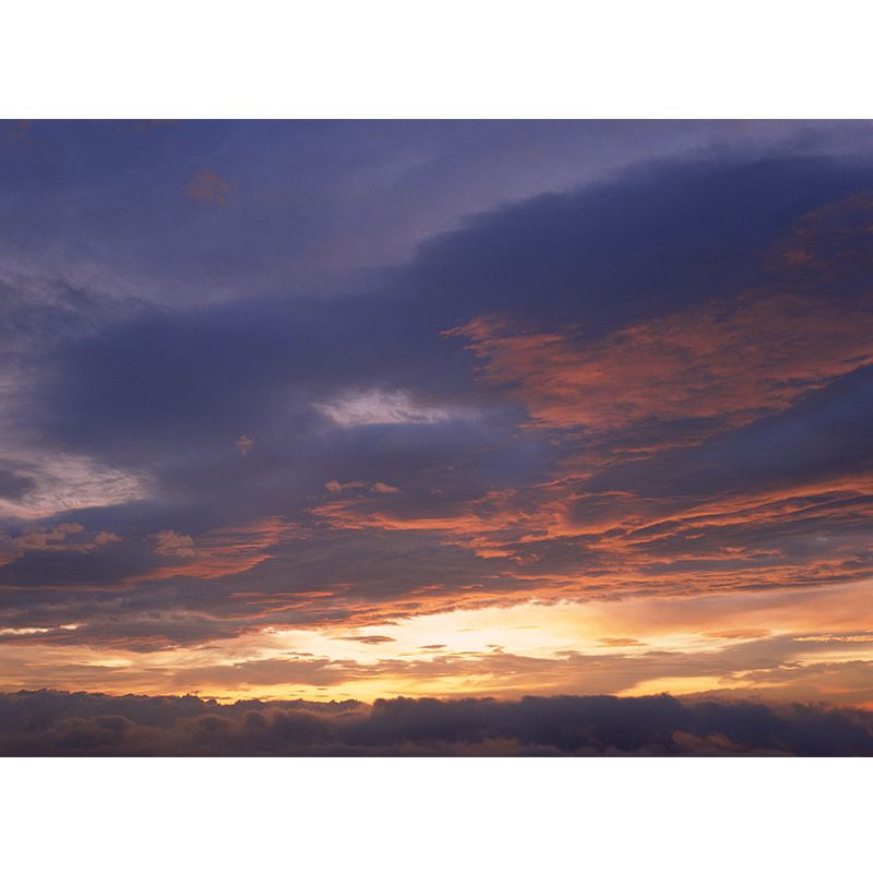 Splendid Evening Glow Mural Wallpaper for Living Room, Dark Color, Personalized Size