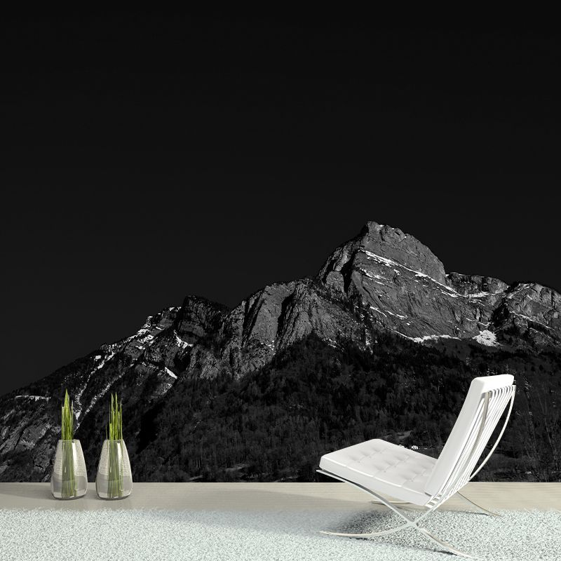 Photography Stain Resistant Mural Wallpaper Mountain Range Indoor Wall Mural