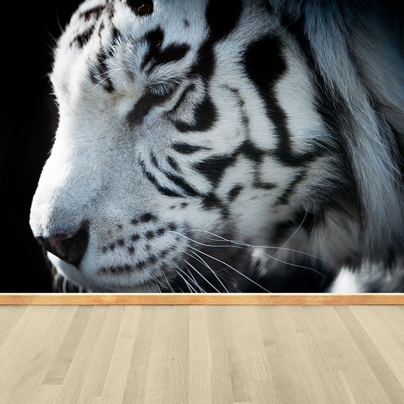 Contemporary Tame Asian Tiger Mural Wallpaper Black Nature Animals Wall Covering