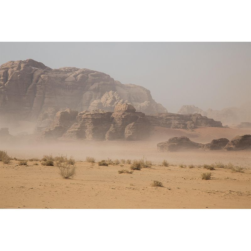 Desert Landscape Mural Wallpaper Modern Style Mildew Resistant for Decoration