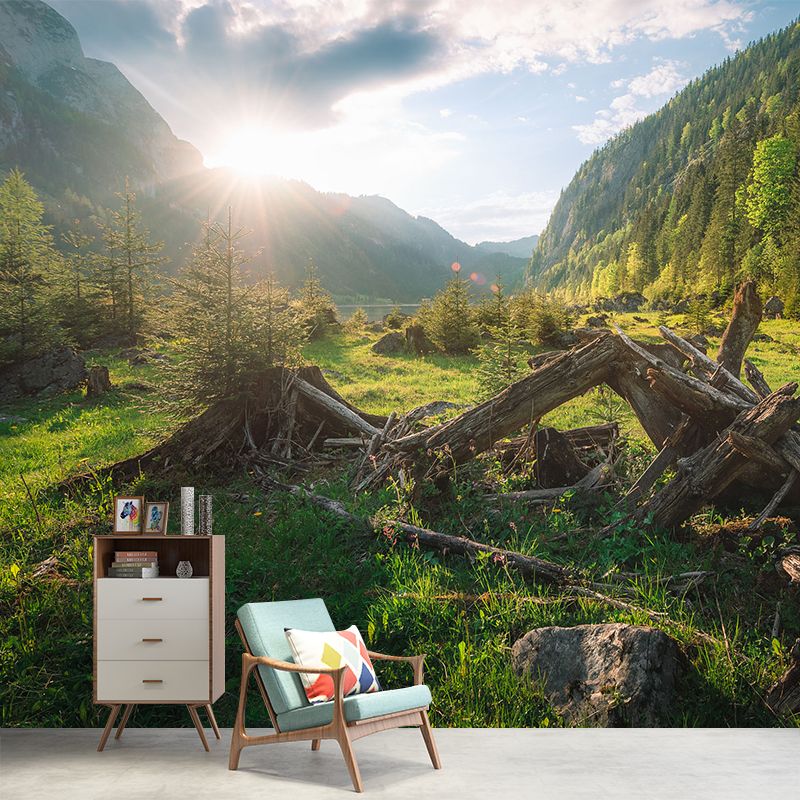 Modern Withered Tree Trunk Mural Green Sunrise Mountain Landscape Wall Art for Living Room