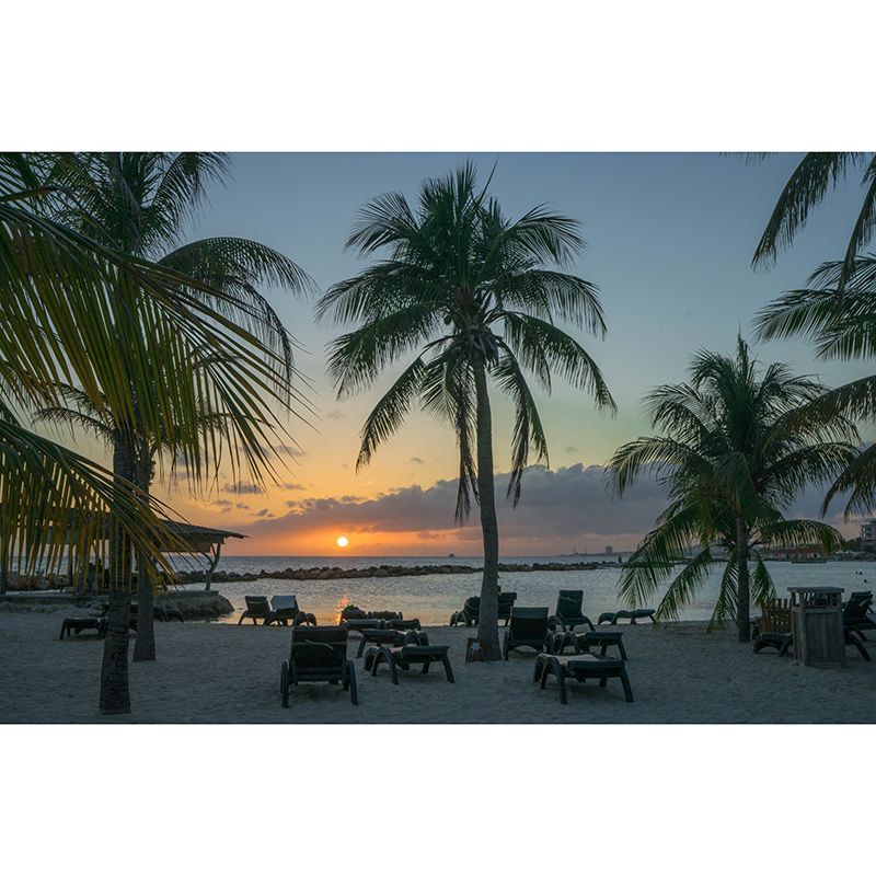 Environment Friendly Tropical Resistant Mural Wallpaper Sleeping Room Wall Mural