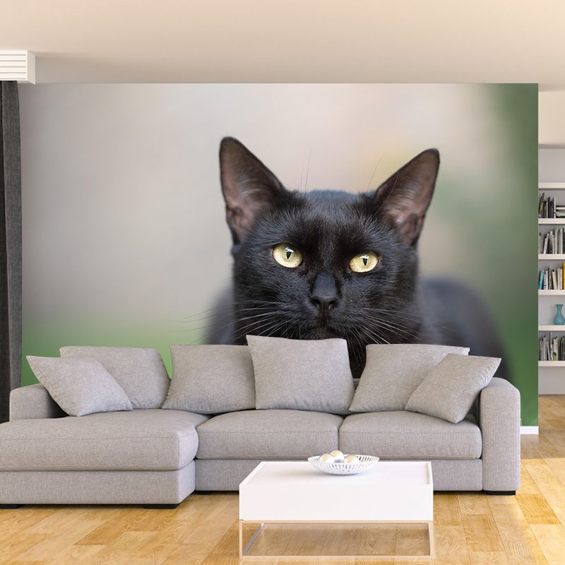 Customized Cat Wall Mural Wallpaper Horizontal Photography for Sitting Room