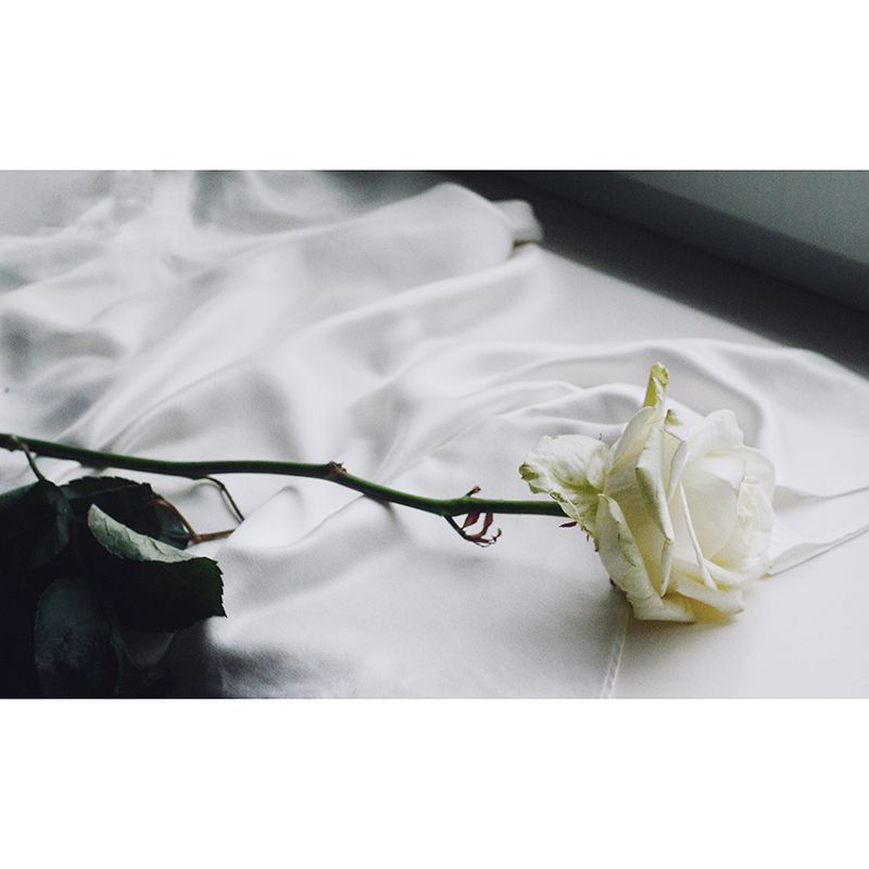 Rose Blooming Mural Decal Modern Style Moisture Resistant for Sitting Room