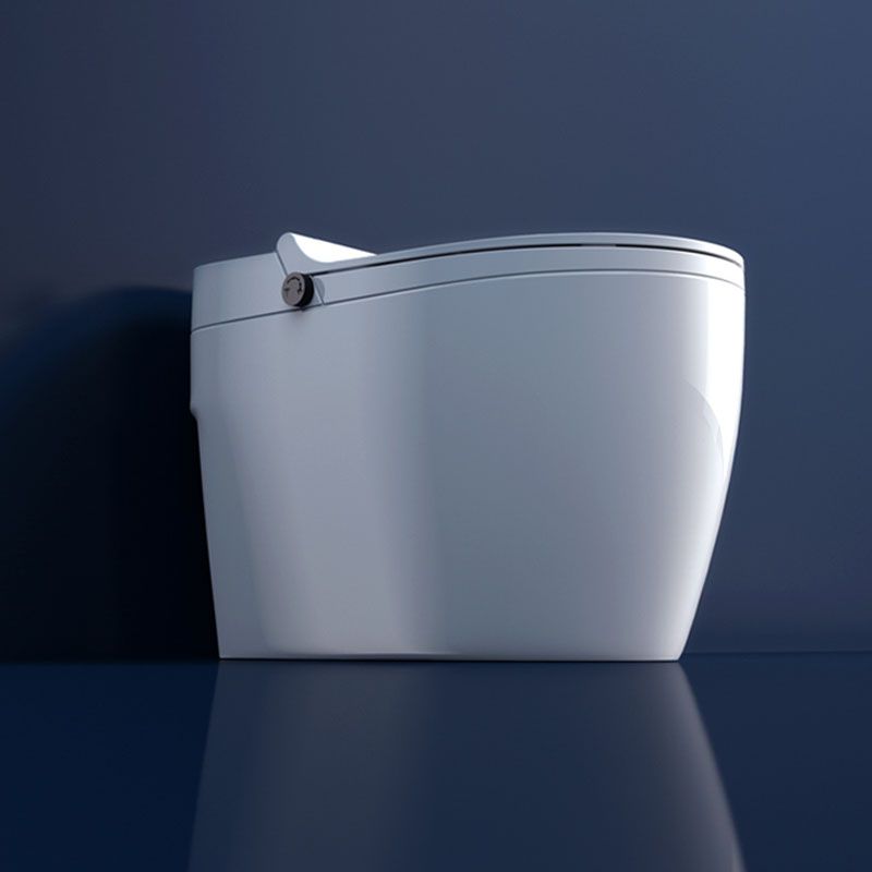 Contemporary Flush Toilet Floor Mounted One-Piece Toilet Porcelain Toilet Bowl