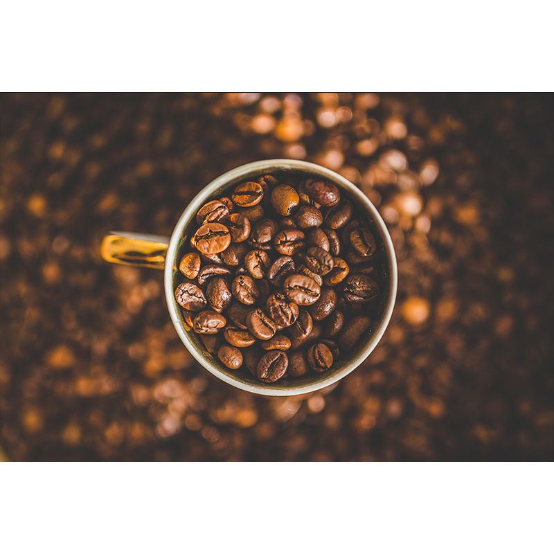 Soft Color Coffee Beans Mural Contemporary Wallpaper for Shop Interior Decoration