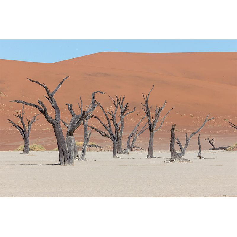 Home Decor Contemporary Photography Style Desert Mural Mildew Resistant