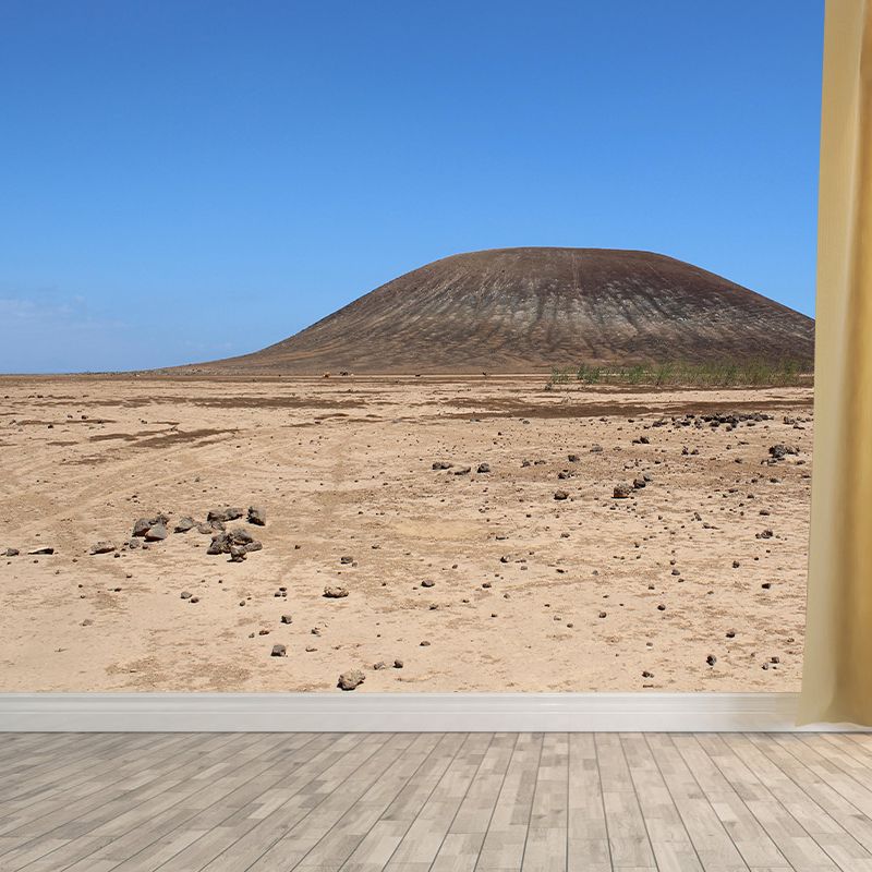 Contemporary Photography Style Desert Mural Wallpaper Mildew Resistant for Home