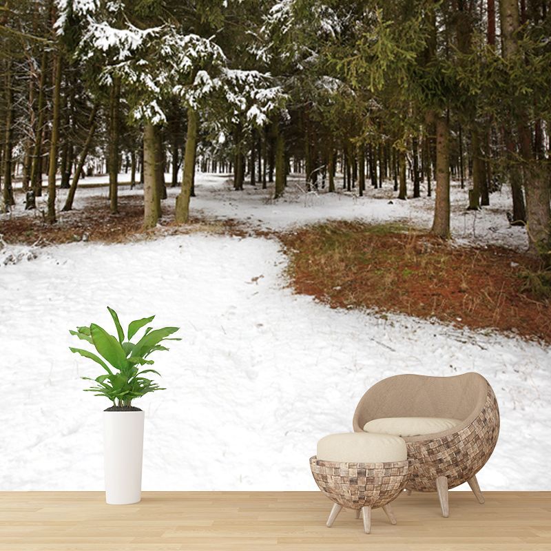 Green Winter Scenery Wall Mural Entrance to Snow Forest Modern Waterproof Wall Art for Home