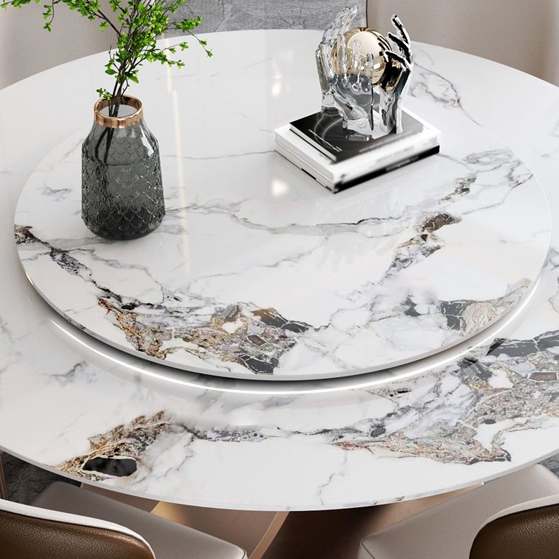 Modern 1/4/7 Pieces Dining Table Set with Sintered Stone Top Stainless Steel Dinette Set