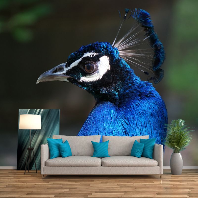 Tropical Peacock Mural Decal for Sitting Room Water Resistant, Made to Measure