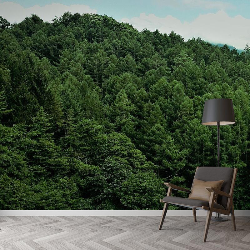 Modern Style Forest Wall Mural Wallpaper Photography Mildew Resistant Wall Covering