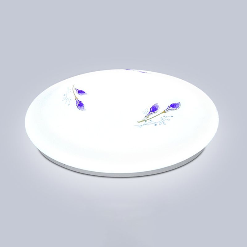 Modern Flush Mount Ceiling Light LED Lighting Indoor Foyer Bedroom Light