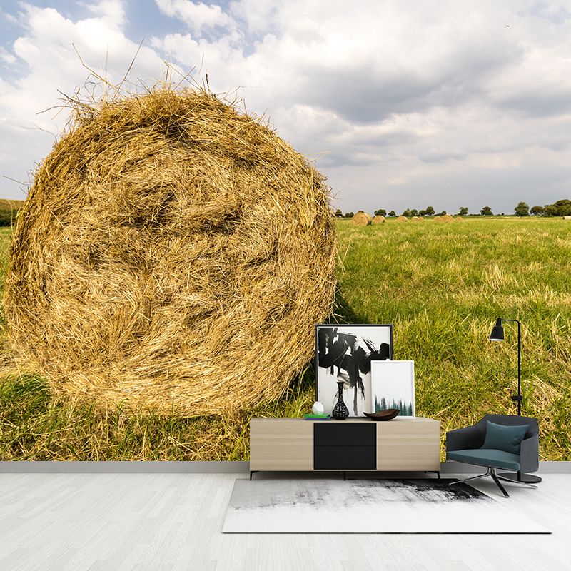 Moisture Resistant Straw Bales Mural Wall Covering for Bedroom Decoration