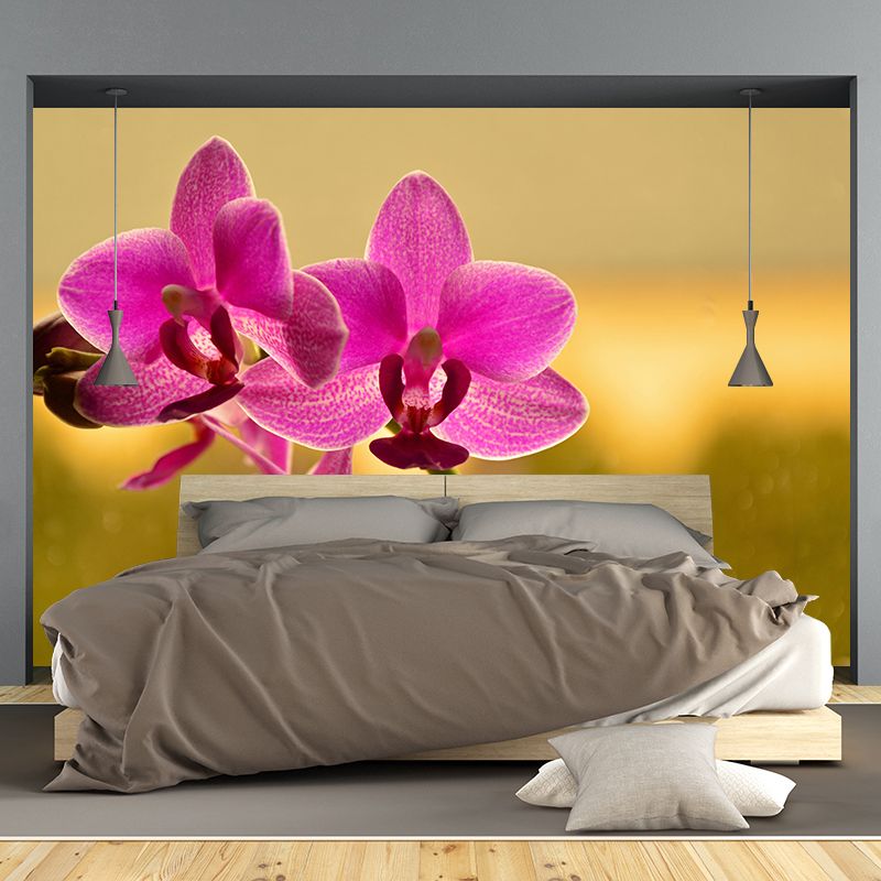 Phalaenopsis Mural Moisture Resistant Wallpaper Wall Decor for House Interior