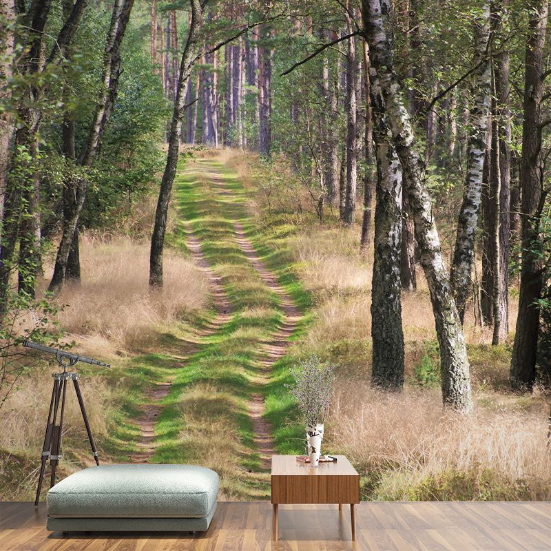 Customized Space Extension Wall Mural Wallpaper Photography Mildew Resistant for Room