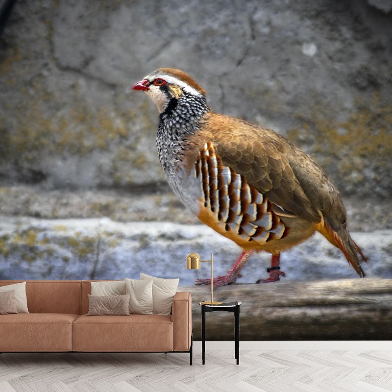 Wild Partridge Mural Contemporary Photography for Living Room Decoration