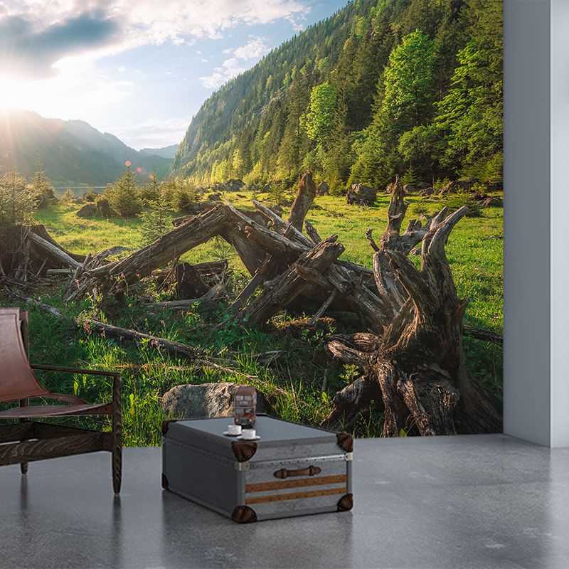 Modern Withered Tree Trunk Mural Green Sunrise Mountain Landscape Wall Art for Living Room