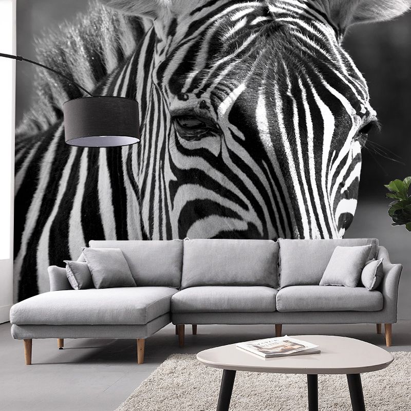 Zebra Mural Wallpaper Black and White Minimalist Wall Art for Living Room