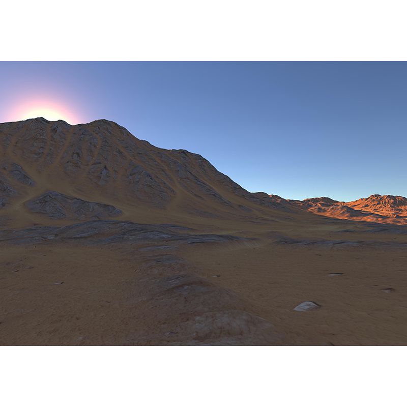 Natural Scene Contemporary Style Desert Wall Mural Mildew Resistant Wall Covering