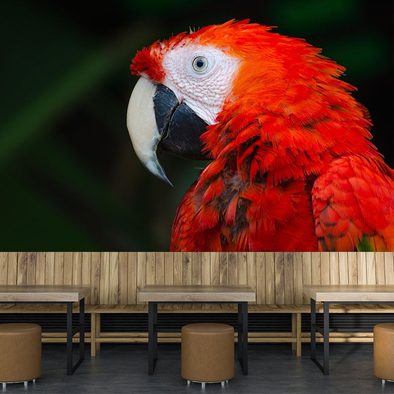 Clever Parrot Murals Moisture Resistant Contemporary Hallway Wall Decoration