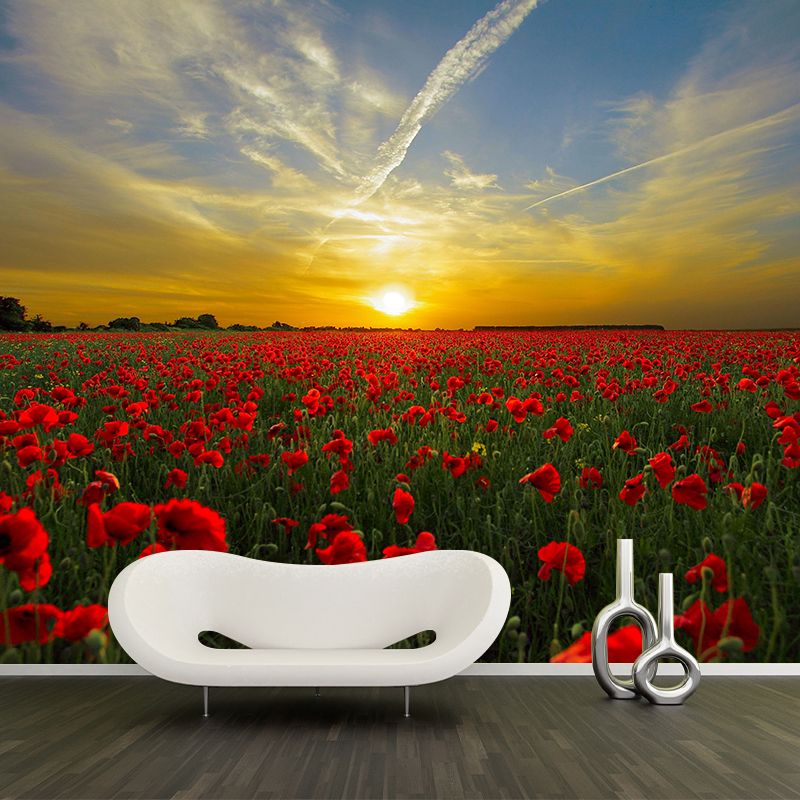 Full Size Photography Modern Mural Decal with Blossoming Poppy for Living Room