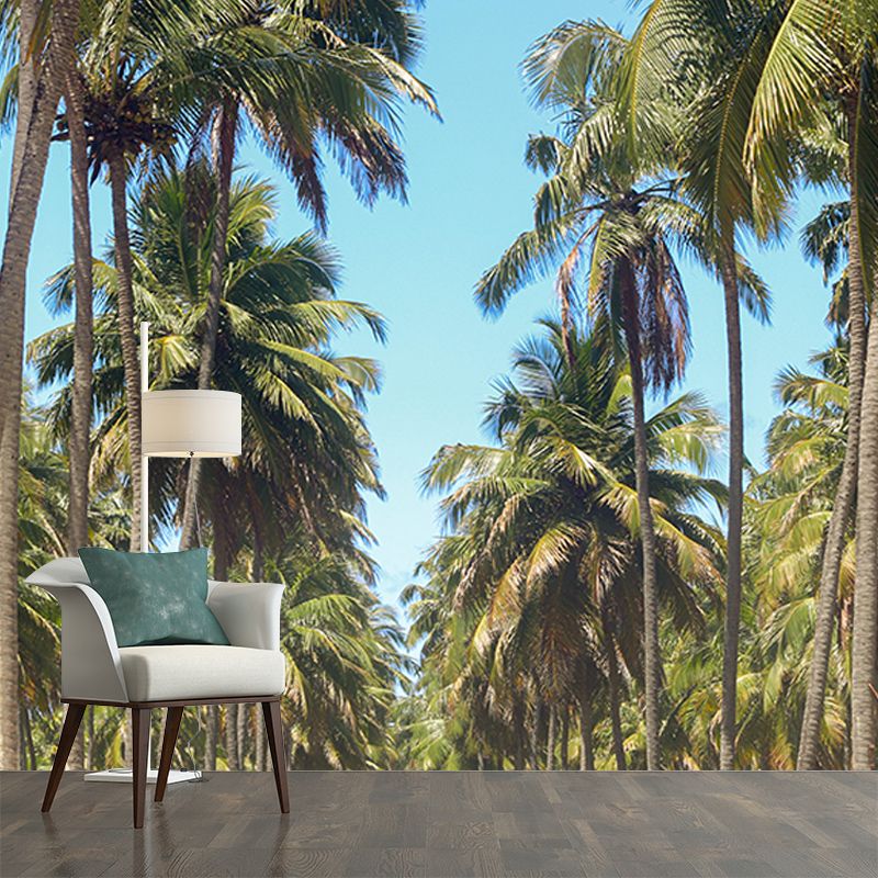 Tree Mural Tropical Mildew Resistant Palm Photography Sitting Room Wall Mural