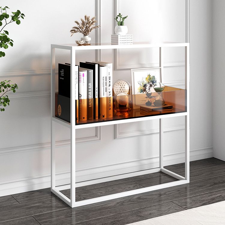 1-Tier Standard Bookshelf Modern Style Open Back Acrylic Bookcase
