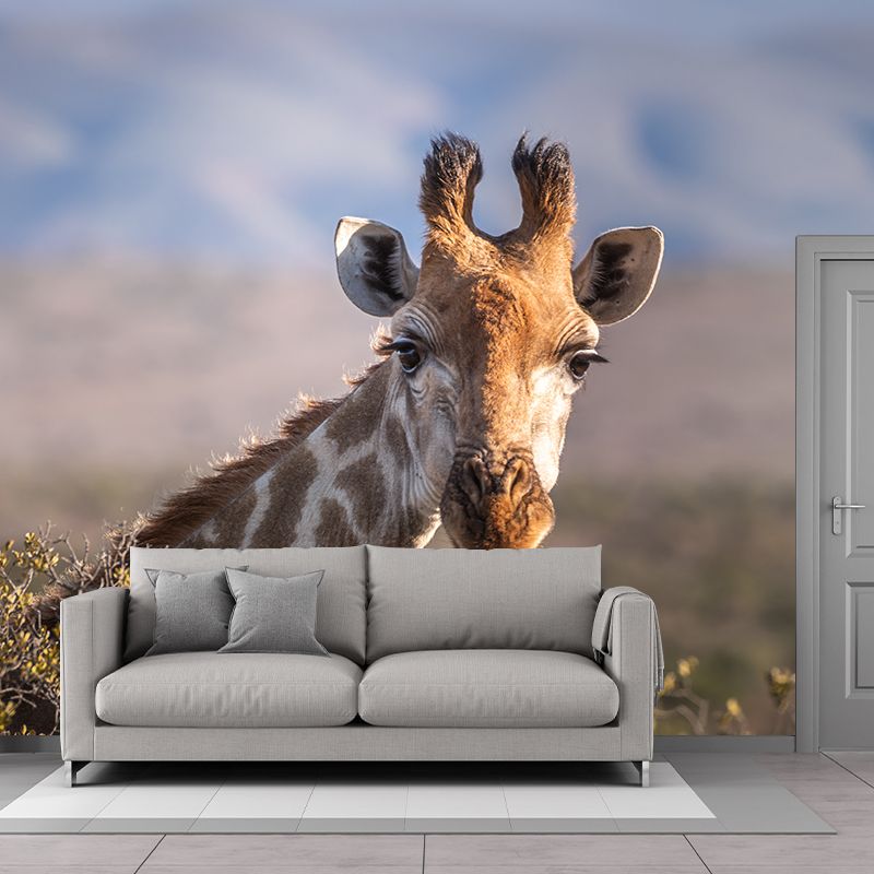 Giraffe Custom Photography Wall Murals Moisture Resistant, Made to Measure