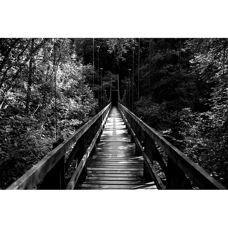 Bridge Scene Customized Space Extension Mural Wallpaper Photography Wall Art